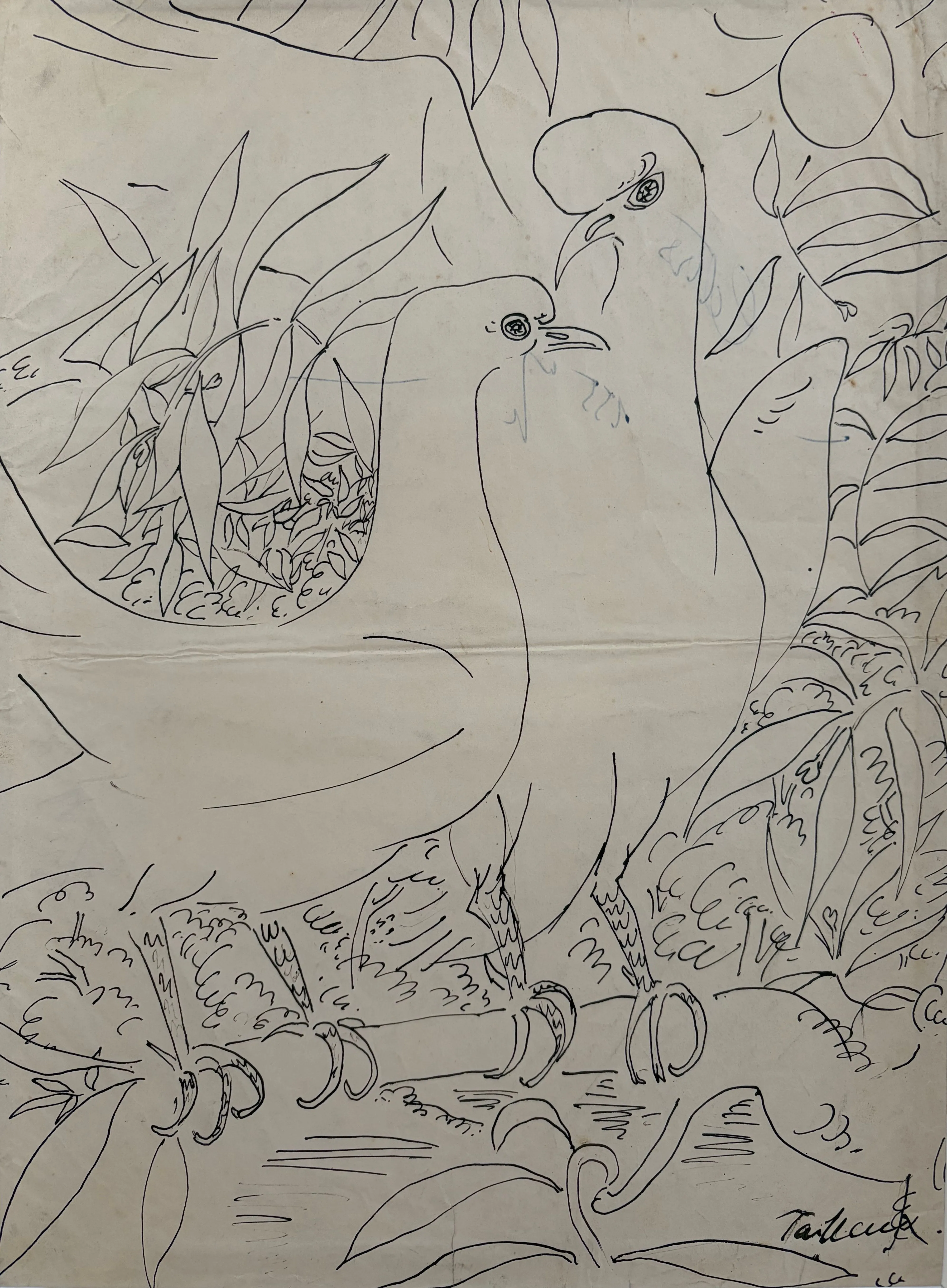 Portrait de Francis Tailleux (1913-1981)